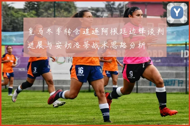 皇马冬季转会追逐阿根廷边锋谈判进展与安切洛蒂战术思路分析